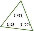 Driehoek met CEO CIO en CDO.jpeg